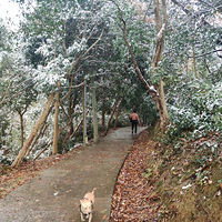 ����Ӱ2020����̨�ݡ� ˫��ѩ��-20201215 -��ɽ-��