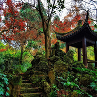 ����Ӱ2020���ֻ�������