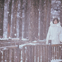 ��������һ��ѩ