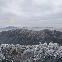 ����Ӱ2020����2020һ��