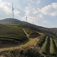 糵·̨ݷ糵ɫ