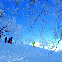 ����Ӱ2020����׵�����