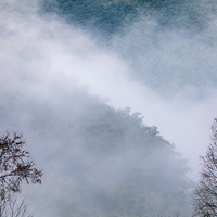 ��Ϊ������Ϊ�������������ԡ�