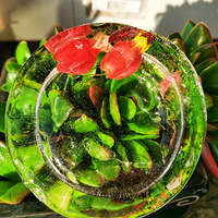 2021��ף�����е��������е�������ů������