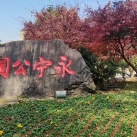 ����Ӱ2020����̨�ݡ� ������԰-20201229 -������-��