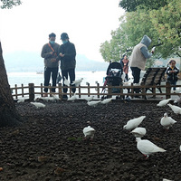 ����Ӱ2020�������ݡ� ��������-20201124 -����-��