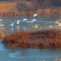 ����Ͽ����