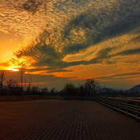 ��2021���һ�ġ�+��������������