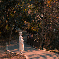 �����﴿���İ�