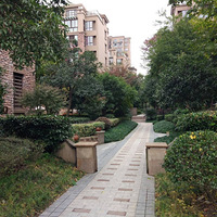 ������ɫ������ͻ�á�