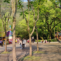 ����Ӱ2020����̨�ݡ� ��������-20200412-�ŷ幫԰-��