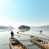 ��̶���ϣ����ܰ��ո���֮�֣�ʱ�ⶼ�����Ų�