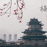 ��ů��.÷��