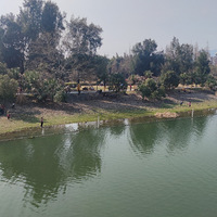 ����Ӱ2021����̨�ݡ� ʯͷ��̲-20210215 -������-��