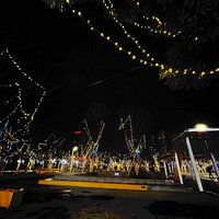 ��ɹ������ζ��������԰