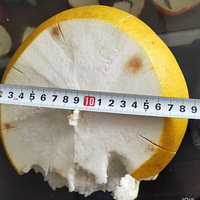 һĸĵˡ