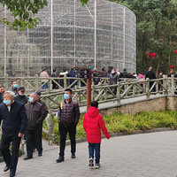 ����Ӱ2021����̨�ݡ����ֺ�ɽ -20210217 -�ŷ幫԰-��