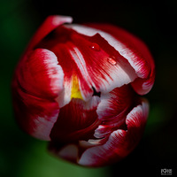 ��ů����