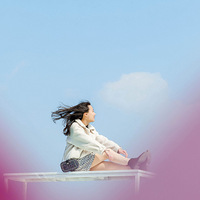 ����ʮ���������