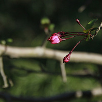 ·������ɽ��԰����