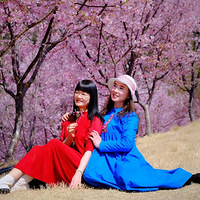 ����ӣ������