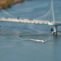 ����Ӱ2021����̨�ݡ� ͯ��ó�-20210221 -������-��