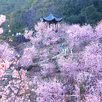 ӣ������