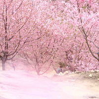 �����԰ӣ����