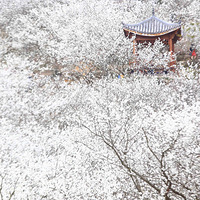 ��ů����