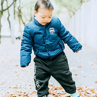 ���ź��Ӹ������������