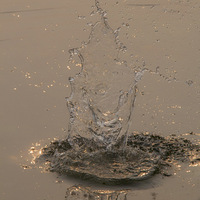 �����µľ���