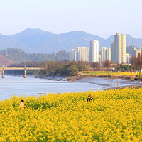 �ٺ��Ͳ˻�ʢ���ˣ����������