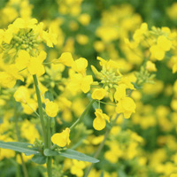 ������Ŀ����̨����Щ����أ������ղأ�