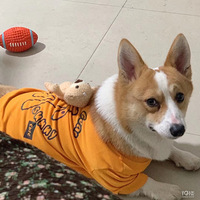 ·��Ѱ����ʾ���»�������