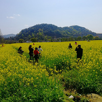 [������]���Ͳ˻�ʢ���ĵط�