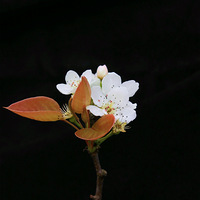 ��ů����