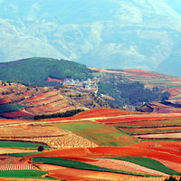 �����أ���ص�ɫ��