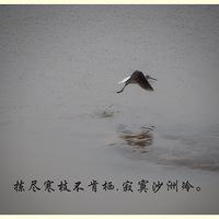 ��ǰ�� ����ʫ