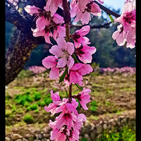 ����Ӱ2021���һ�