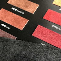 ����ƽӹ��ѩ����2T9����������������Alcantara����һ������