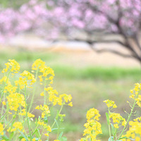 202���ˮ���һ�