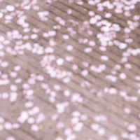 ӣ���������