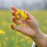 ץס�Ͳ˻���Сβ�͡�