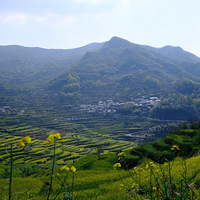 ��شɽ�����Ͳ˻�