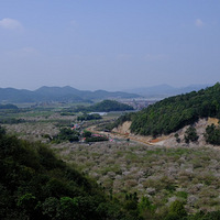 �����Ŵ�ӣ����