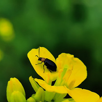 ̤�࡫����ů���������︴�գ�