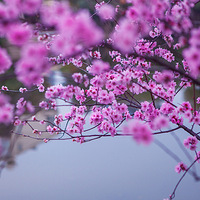 ��ů������һ��̤��ȥ