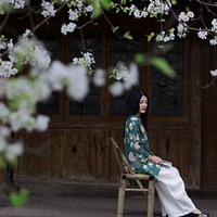 ��ɽ�滨�ֿ���