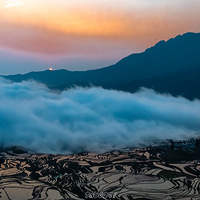 �ճ��ƺ�ӳ�����ż����������