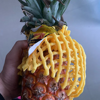 ġжֱܷ沤ܺͷ